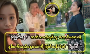 It has been disclosed what was the primary cause of Thae Su Nyein’s resignation. 