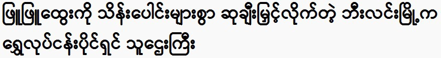 Phyu Phyu Htwe receives millions in awards