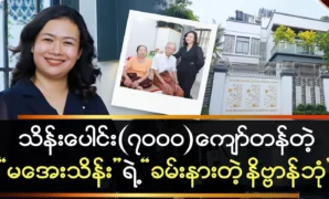 Phyu Phyu Htwe receives millions in awards 