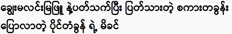 The mother spoke a word to Prince Paing Takhon