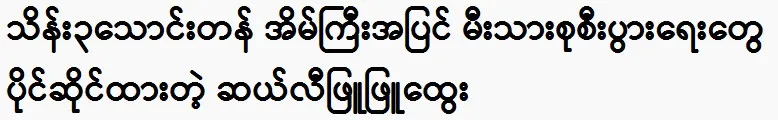 Besides the big house, Sally Phyu Phyu Htwe owns