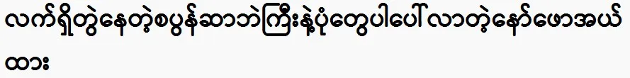 Naw Phaw Eh Htar is happy with the current situation.