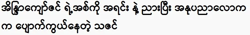 Eaindra Kyaw Zin and Thazin are retiring from the art world.